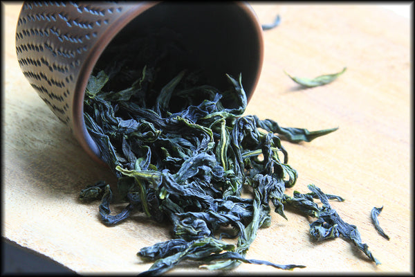 Bao Zhong, Spring 2025