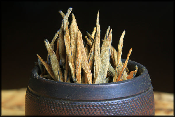 Imperial Gold Needle, Spring 2025