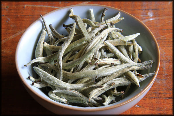 Yunnan Silver Needle, Spring 2025