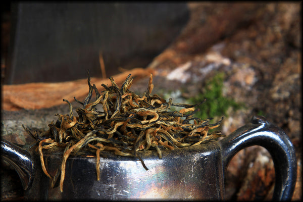 Yunnan Gold Tips, Spring 2025