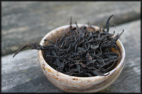 Wild Gushu Lapsang Souchong, Spring 2022